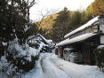 謹賀新年２０１７年酉年　嵯峨野は大雪